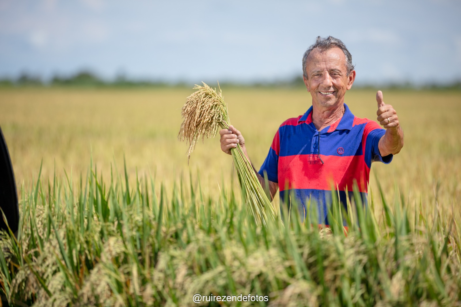 Agricultor sorridente em plantação de arroz, celebrando a colheita no Oeste da Bahia