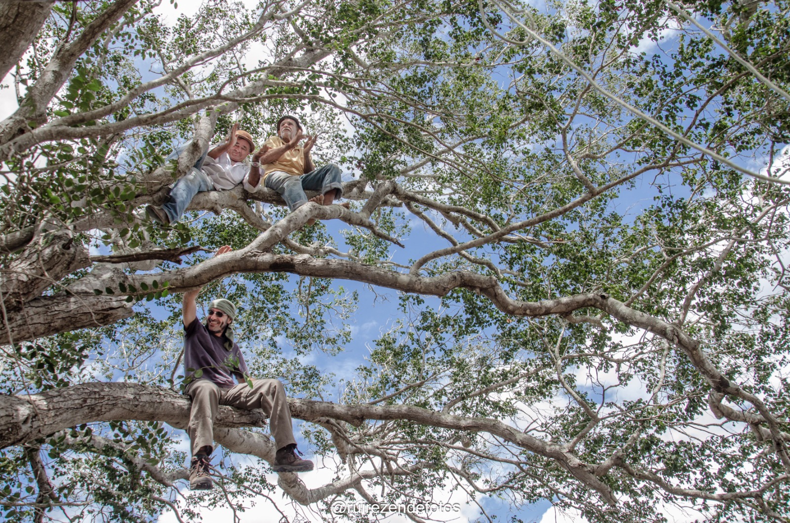Momento de descontração durante expedição, equipe subindo em árvore da Caatinga