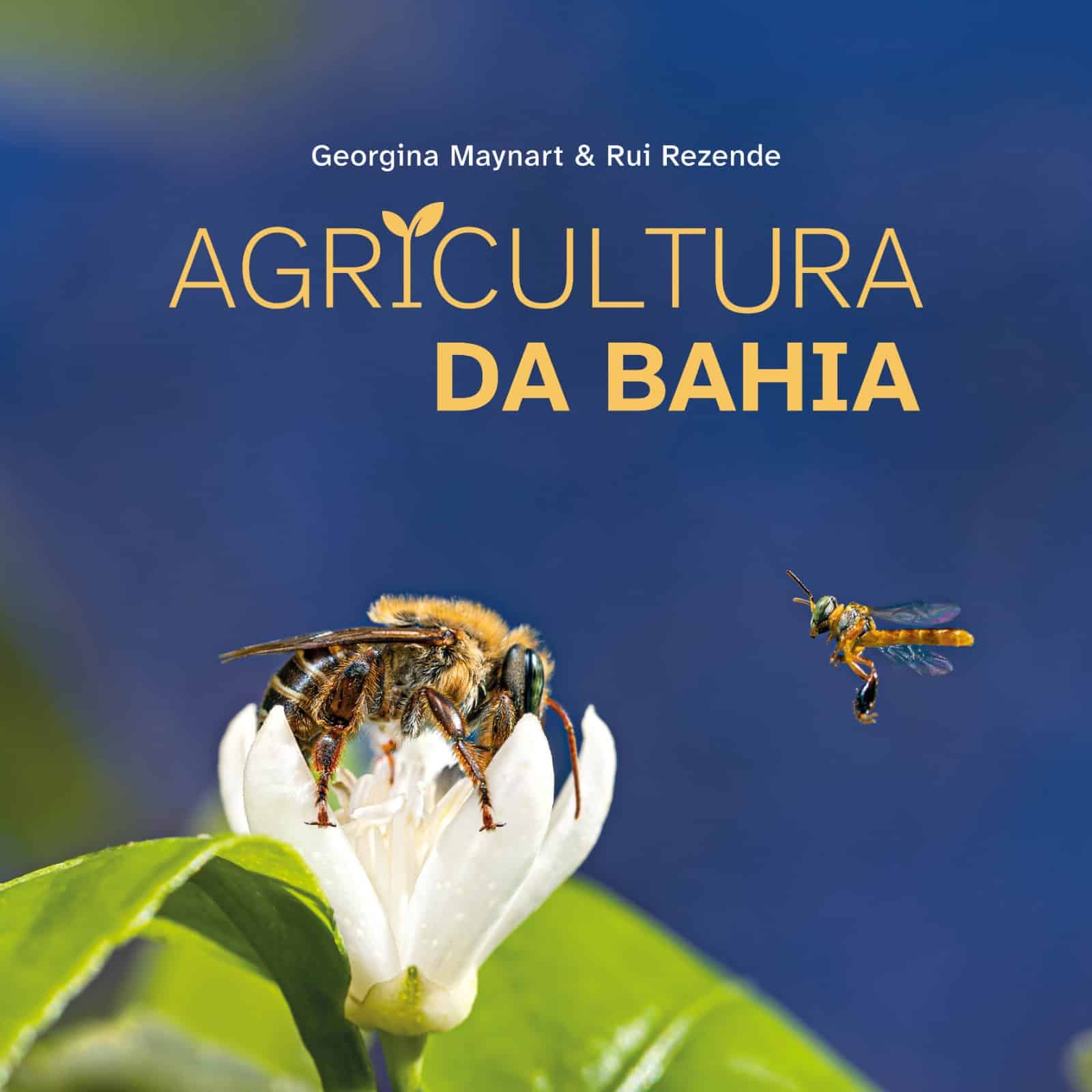 Capa do livro Agricultura da Bahia de Rui Rezende