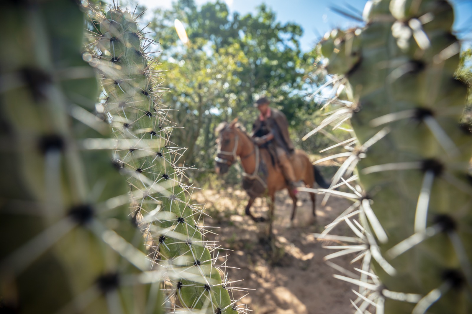 Entrevista Exclusiva: Rui Rezende