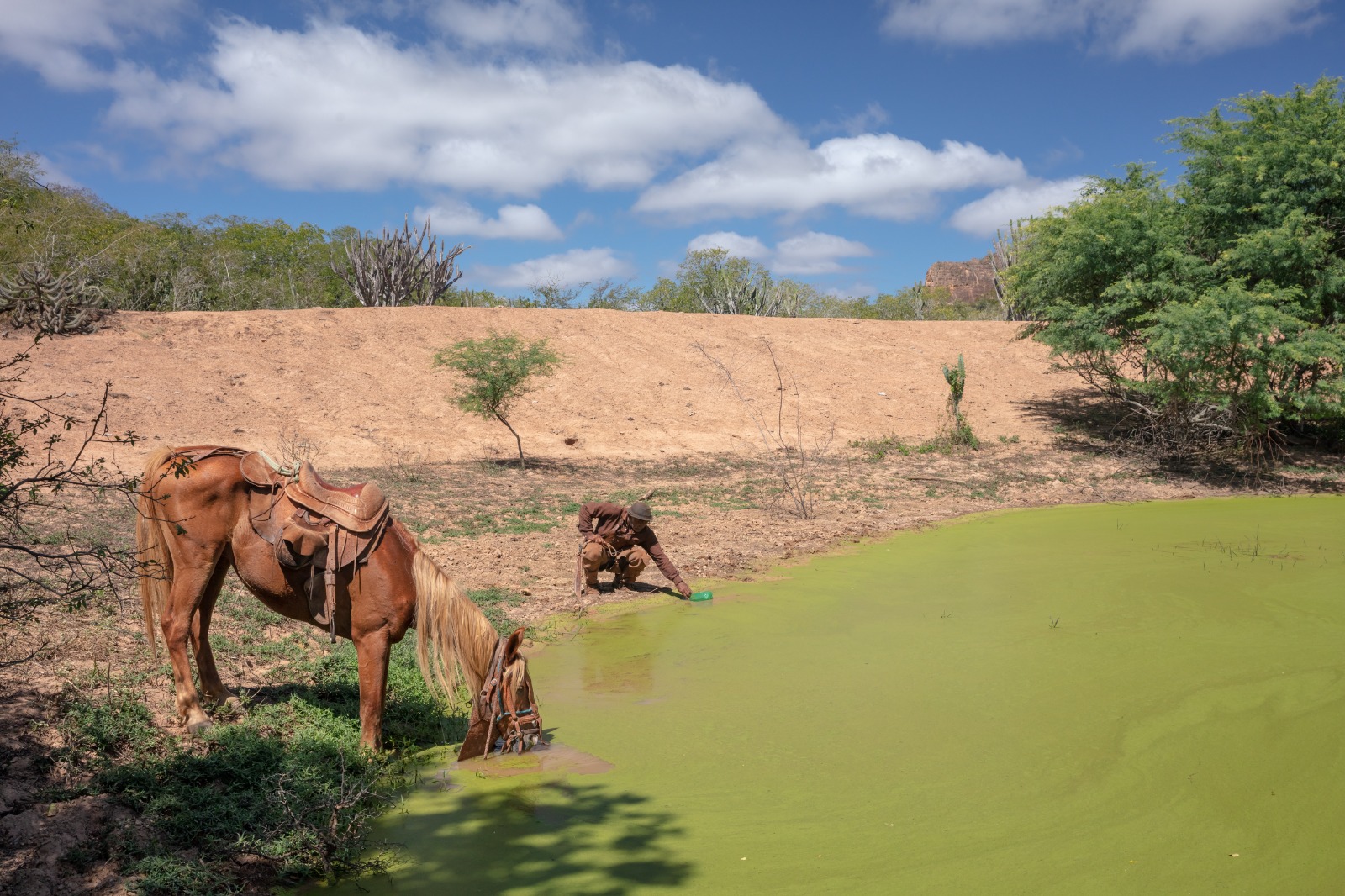 A Arte da Fotografia Documental